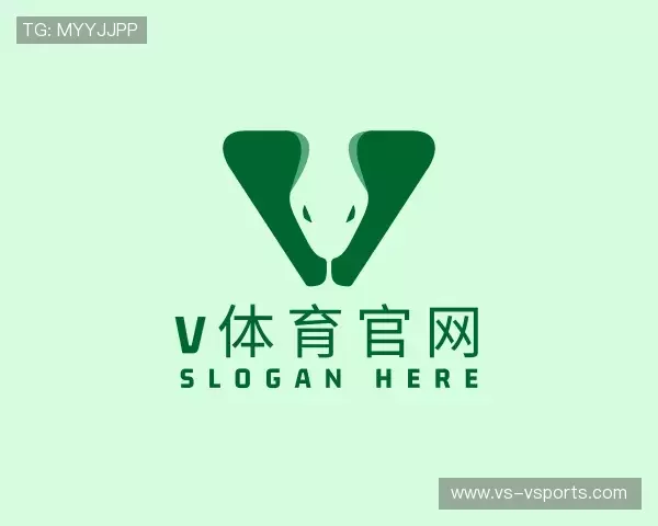 关于V体育官方网站